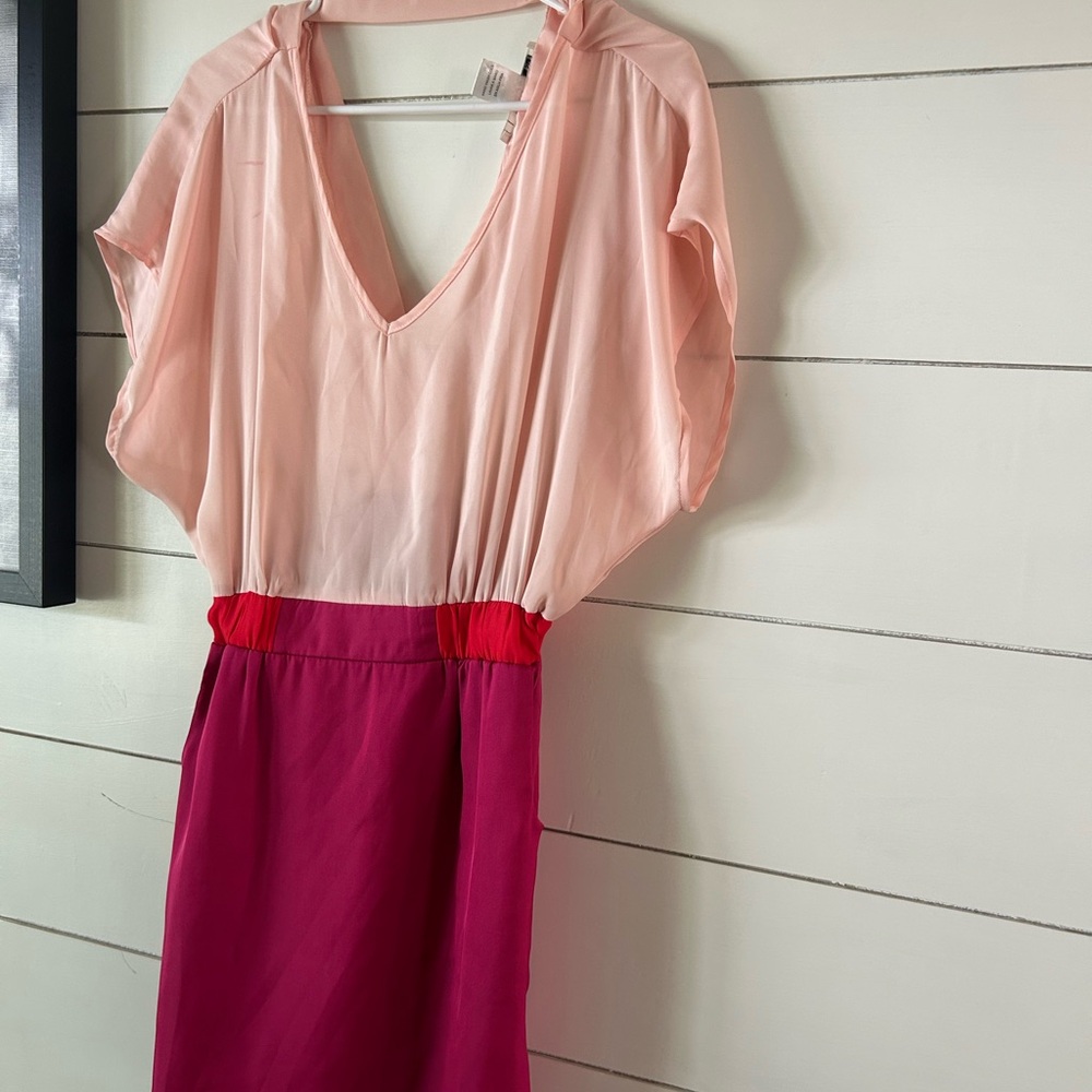 Ellison Pink Pleated Sheath Dress with Dolman Sleeves